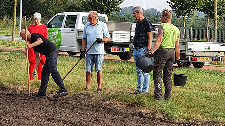 Groen in de wijk